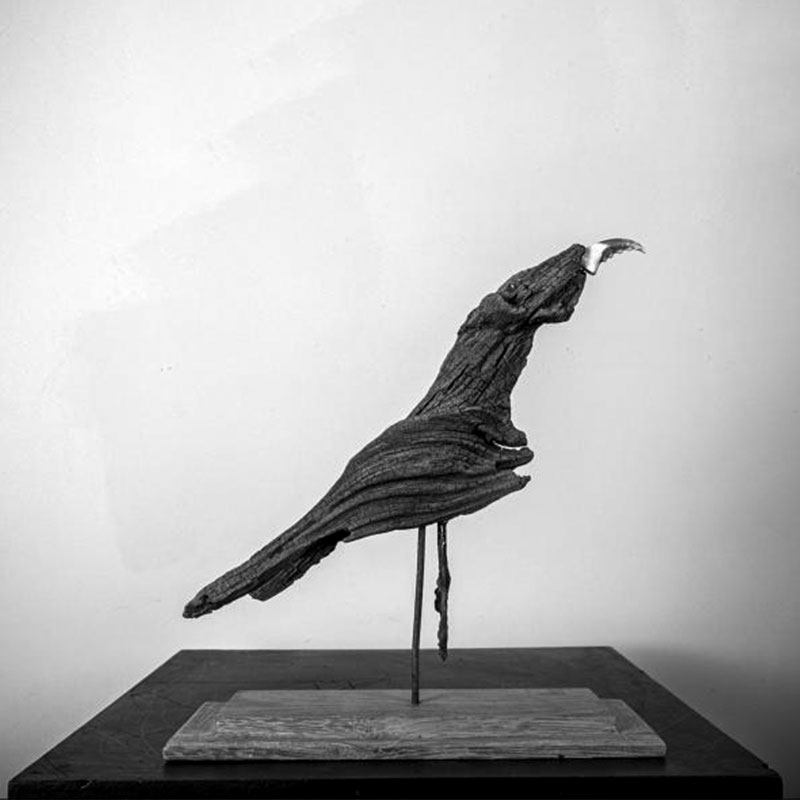 BrigitKlatser_kunst_SerieTerschelling_Vogel_06